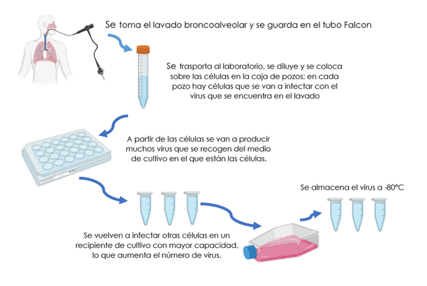 Imagen noticia 2