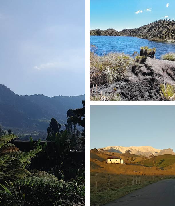 PARAMO_Mesa de trabajo 1