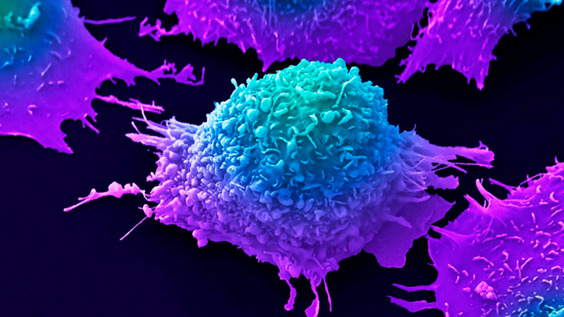 Un tesoro de genomas tumorales ofrece pistas sobre los orígenes del cáncer