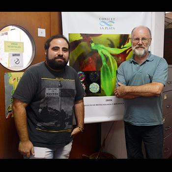 FRENAN EL CRECIMIENTO TUMORAL CON AYUDA DE UN VIRUS DE INSECTOS