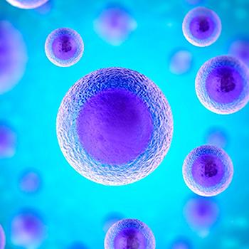 Desarrollan un método para transportar células madre a largas distancias