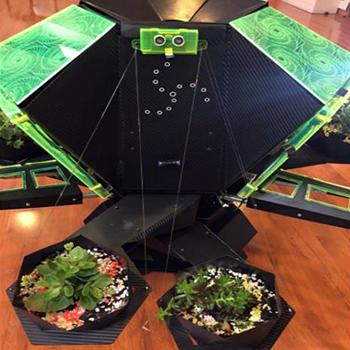 Un arácnido provee agua y alimento en condiciones extremas