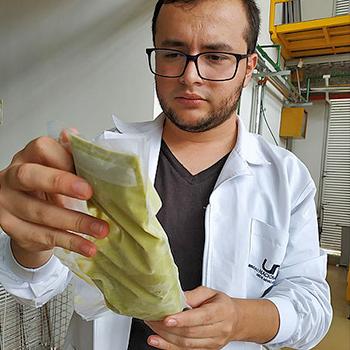 Aguacate en pasta, más duradero y natural