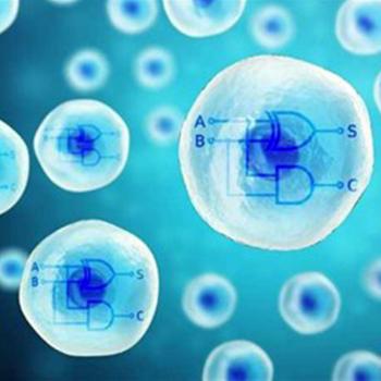 Integran un procesador biológico de doble núcleo en células humanas