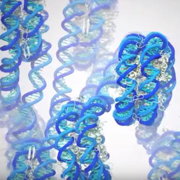 Científicos crean la primera simulación biomolecular de mil millones de átomos