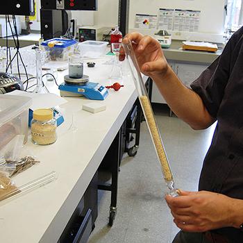 Investigación colombiana, que transformaría la cascarilla de arroz convirtiendo el desperdicio en un útil componente biomédico