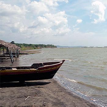 Modelo neuronal artificial estimaría contaminación de aguas marinas