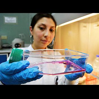 Tejidos para implantes, reto de laboratorio