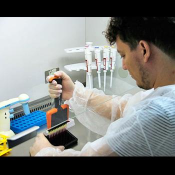 Desvelan nuevos mecanismos que regulan la pluripotencia en células madre embrionarias