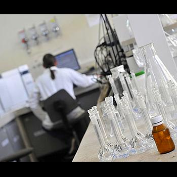 Métodos in vitro reemplazarían pruebas de cosméticos en animales