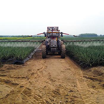 App ayudaría a administrar mejor los cultivos agrícolas