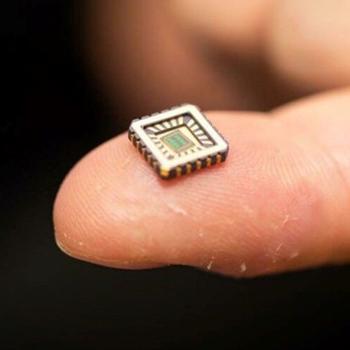 Se avanza en el desarrollo de las primeras neuronas artificiales para curar enfermedades