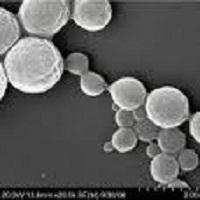 MOLECULA ANTIFILICA