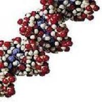 QUE ESTUDIA LA PROTEOMICA