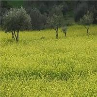 RESISTIVIDAD DEL SUELO Y METODOS DE MEDICION