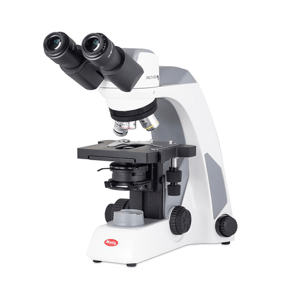 Microscopio PANTHERA E2 Binocular