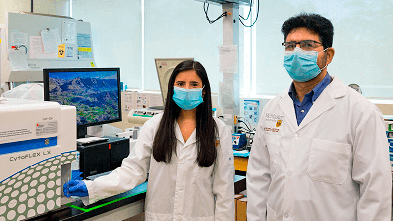 Modifican células inmunitarias humanas para que exterminen células cancerosas