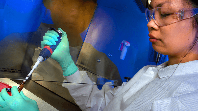 La OMS emite las primeras recomendaciones sobre la edición del genoma humano