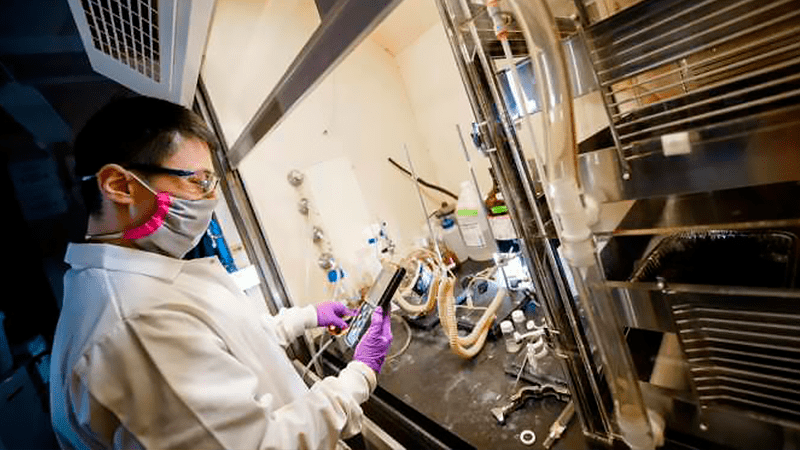 Convertir plástico en alimento